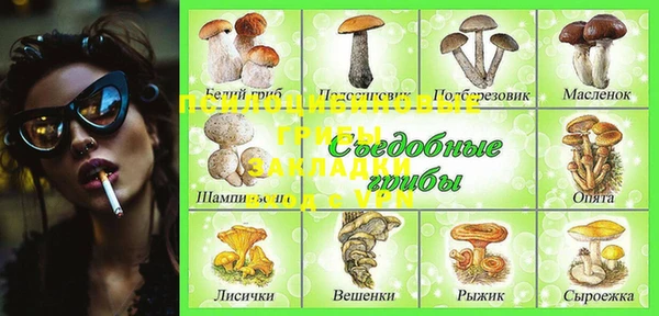 ГАЛЛЮЦИНОГЕННЫЕ ГРИБЫ Алзамай