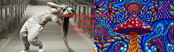 дмт Алексеевка