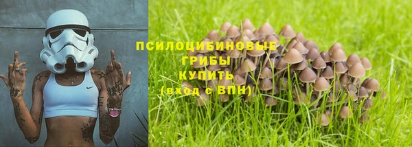 ешки Алексин
