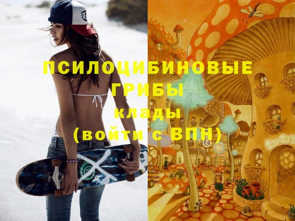ГАЛЛЮЦИНОГЕННЫЕ ГРИБЫ Алзамай