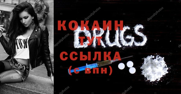 ешки Алексин
