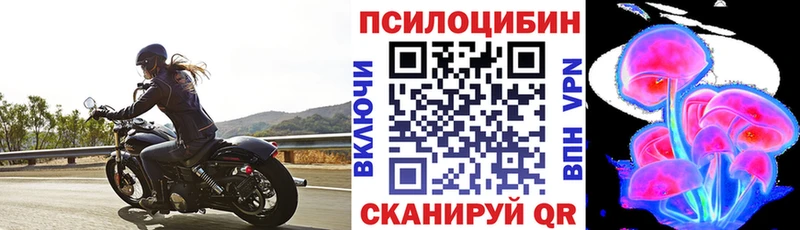 Псилоцибиновые грибы мицелий  Миньяр 
