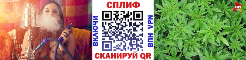 Шишки марихуана марихуана Миньяр